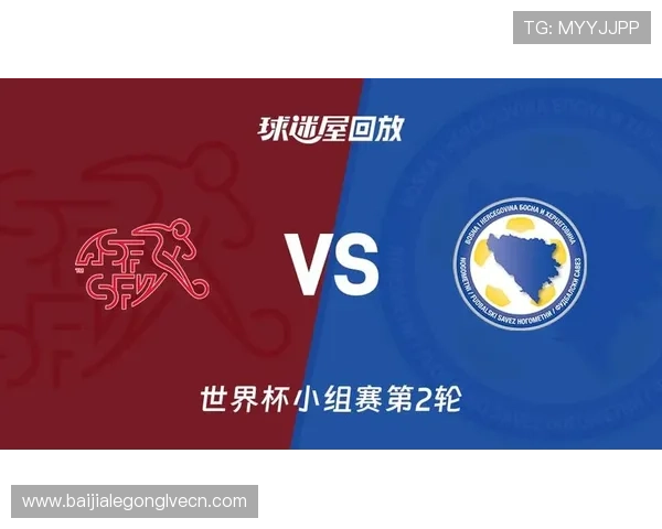 世界杯瑞士VS波黑比赛场馆容量揭秘及其对比赛观赛体验的影响